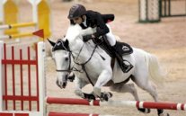 100 ألف درهم جوائز الجولة الخامسة من دوري الإمارات لقفز الحواجز