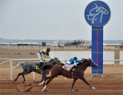 نادي الفروسية بجدة يقيم حفل سباقه التاسع 