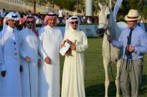 اختتام بطولة مكة المكرمة الدولية لجمال الجواد العربي