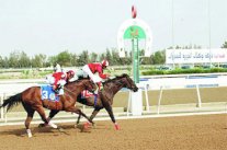 نادي الفروسية يقيم سباقه الـ