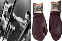 عرض قفازين وضعها محمد علي في 