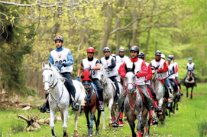 بطولة أوربا للقدرة للناشئين والشباب تنطلق في إيطاليا