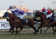 جائزة رئيس دولة الإمارات للخيول العربية تحتفل بالذكرى الـ21 لتأسيسها