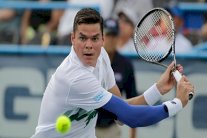 راونيتش وغاسكيه إلى نصف انهائي دورة واشنطن