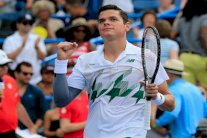 دورة واشنطن: لقب الرجال بين راونيتش وبوسبيسيل