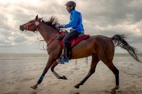 حمدان بن محمد يحكى إنجاز 