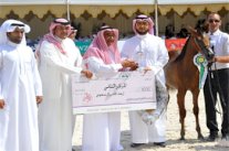 ختام بطولة جمال الخيل السعودية في الطائف 