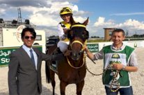 الجواد الألماني 