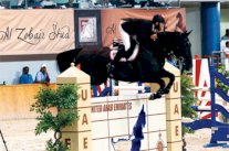 نادي الشارقة للفروسية يُعلن برنامج نشاطه لموسم2014/2015