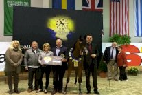 تتويج مربط المعود للخيل العربية بذهبية بطولة 