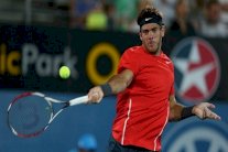 انسحاب دل بوترو من دورة بريزبين