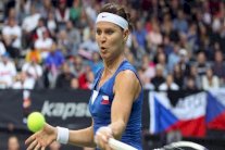 كأس هوبمان: فوز تشيكيا على إيطاليا وكندا على أمريكا