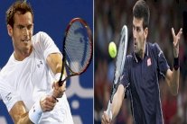 دورة أبوظبي الاستعراضية: اللقب بين ديوكوفيتش وموراي