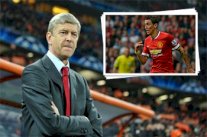 فينغر : قوانين 