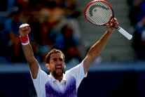 سيليتش إلى ربع نهائي دورة شينزين