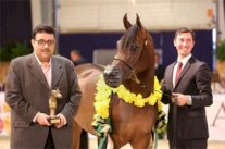 ميداليتان لمربط عذبة في بطولة كأس الأمم لجمال الخيل