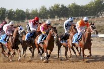 25 بطولة في أجندة نادي الشارقة للفروسية هذا الموسم