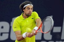 خروج مبكر لشاردي في دورة فالنسيا