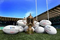 كأس العالم للركبي: دجاجة تبيض ذهباً