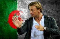 4 عوامل تضع هيرفي رينارد في أفضل رواق لتدريب الجزائر