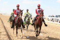 المزروعي بطلاً لسباق تحدي القدرة بحضور محمد بن راشد