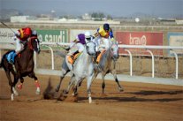 الإعلان عن نتائج سباقات الحفل الثالث لنادي الفروسية