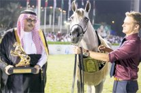 ختام بطولة مكة المكرمة الدولية لجمال الجواد العربي