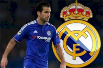 ريال مدريد قد يكون وجهة فابريغاس المقبلة