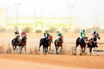 فروسية المدينة المنورة تقيم حفل سباقها السادس