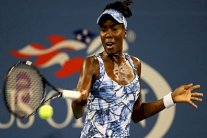 دورة دبي: فينوس وليامس تتطلع لمعادلة رقم هينان