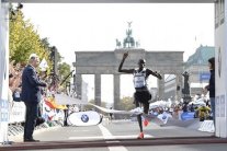 نصف ماراتون برلين: فوز الأثيوبي ليغيسي وكينية كوسغي 