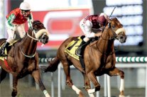 114 جواداً يتنافسون على 30 مليون في كأس دبي العالمي