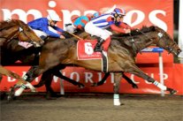 دبي تخطف أبصار العالم لمتابعة أغلى سباقات الخيول