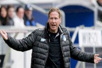 هوفنهايم يمدد عقد مدربه غيسدول حتى 2018