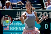 دورة تشارلستون: تأهل بتكوفيتش وإيراني وكيربر