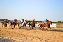 ميدان فروسية الجبيل يختتم سباقاته للموسم الحالي