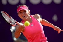 دورة شتوتغارت: هاليب تواجه فوزنياكي في نصف النهائي