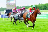 قطر تخطط لأكبر عقد رعاية في تاريخ سباقات الخيول البريطانية