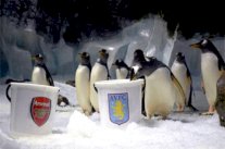 بطريق يتوقع هزيمة أرسنال في نهائي كأس إنكلترا!