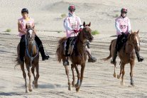 باحثات عالميات يشدن بدور المرأة في عالم الخيول العربية