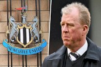 ستيف ماكلارين مدرباً جديداً لنيوكاسل