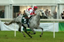 اميريتو يبحث عن لقب الجولة من التاج الثلاثي لكأس زايد