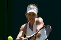 دورة باشتاد: بارتيل ولارسون إلى النهائي