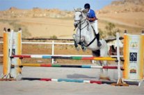 اختتام بطولة قفز الحواجز على كأس الأمير فيصل بن خالد