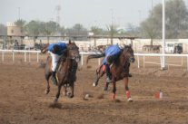 انطلاق بطولة صلالة لالتقاط الأوتاد بمشاركة خليجية 