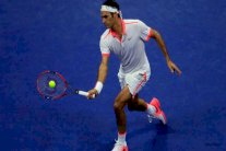 فيدرر يواجه فافرينكا في نصف نهائي فلاشينغ ميدوز