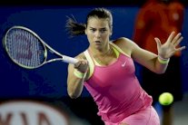 لقب دورة أوساكا ينحصر بين فيكماير ولينيت