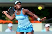 ستيفنز وجورج وباتشيك إلى نصف نهائي دورة أوكلاند