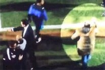 معاقبة رئيس نادي إنكليزي لركله مساعد مدرب فريقه 