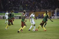 الجزائر تكتفي بالتعادل مع الكاميرون في البليدة